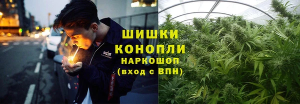 mdpv Кострома